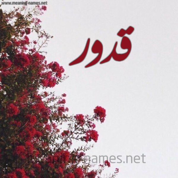 شكل 18 صوره الورد الأحمر للإسم بخط رقعة صورة اسم قدور Qdwr