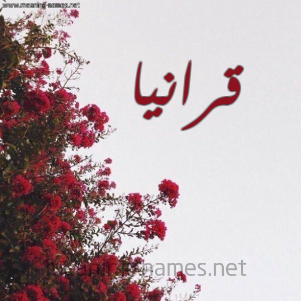 شكل 18 صوره الورد الأحمر للإسم بخط رقعة صورة اسم قرانيا Qranya