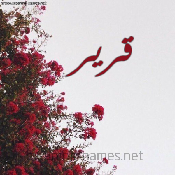 شكل 18 صوره الورد الأحمر للإسم بخط رقعة صورة اسم قرير Qryr