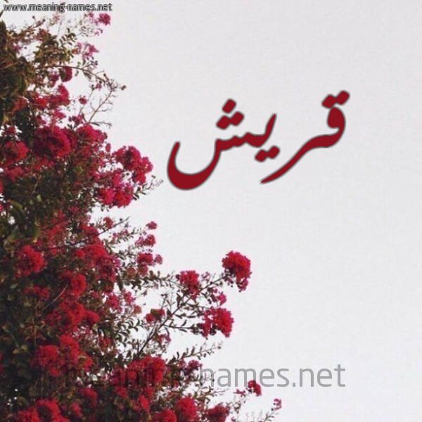 شكل 18 صوره الورد الأحمر للإسم بخط رقعة صورة اسم قريش Qrysh