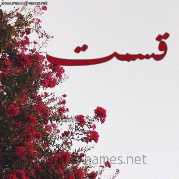 شكل 18 صوره الورد الأحمر للإسم بخط رقعة صورة اسم قسمت QSMT