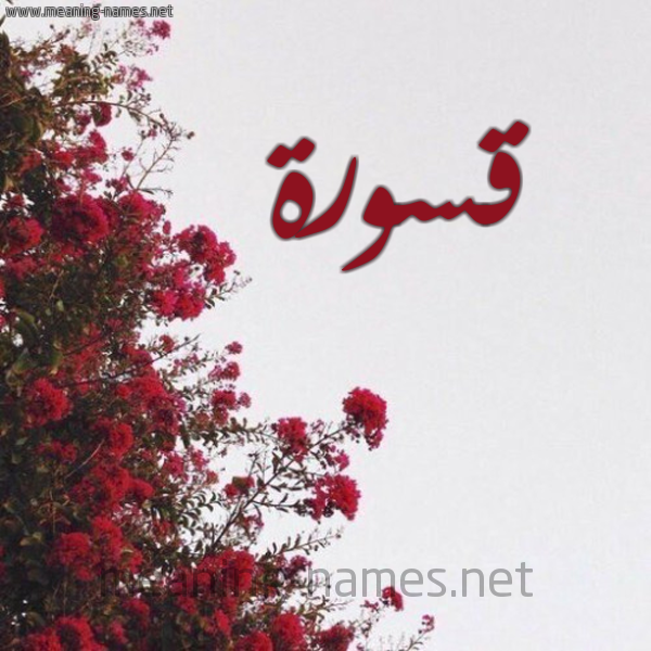 شكل 18 صوره الورد الأحمر للإسم بخط رقعة صورة اسم قسورة Qswrh