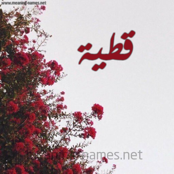 شكل 18 صوره الورد الأحمر للإسم بخط رقعة صورة اسم قطية QTIH