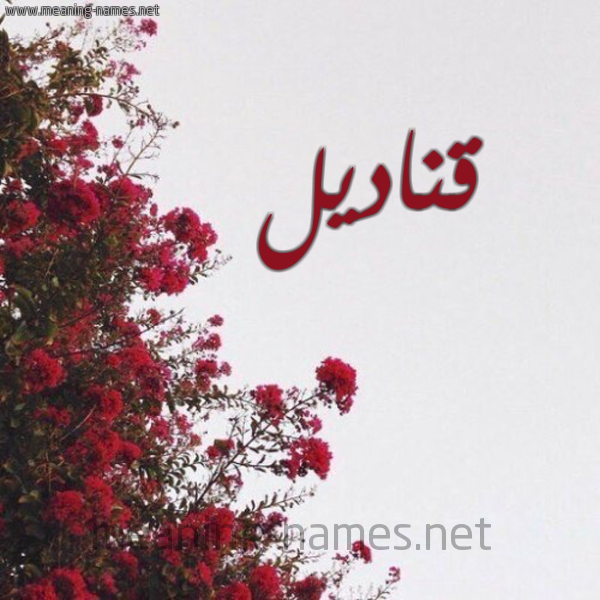 شكل 18 صوره الورد الأحمر للإسم بخط رقعة صورة اسم قناديل Qnadyl