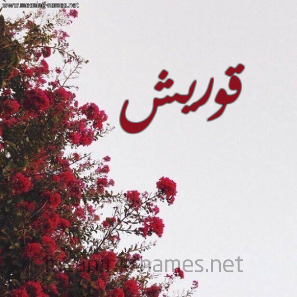 شكل 18 صوره الورد الأحمر للإسم بخط رقعة صورة اسم قوريش Quraysh