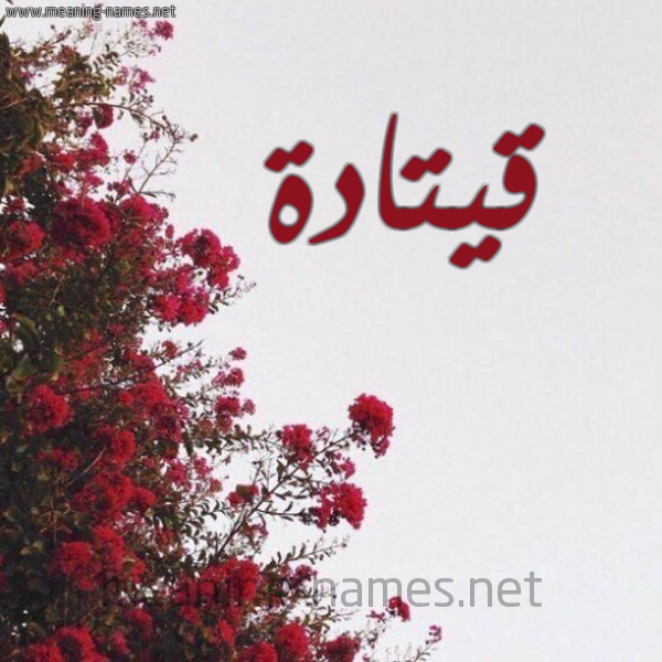 شكل 18 صوره الورد الأحمر للإسم بخط رقعة صورة اسم قيتادة Qatada