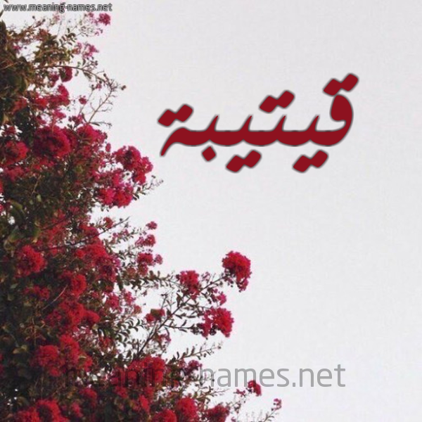 شكل 18 صوره الورد الأحمر للإسم بخط رقعة صورة اسم قيتيبة Qoteiba