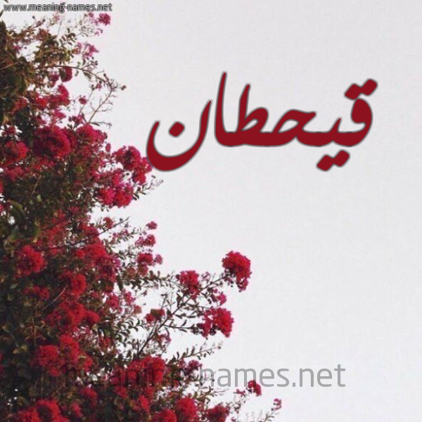 شكل 18 صوره الورد الأحمر للإسم بخط رقعة صورة اسم قيحطان Qahtan