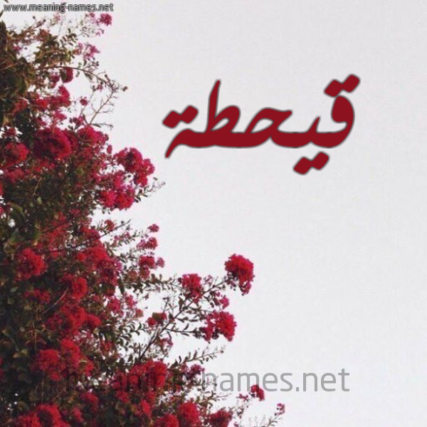 شكل 18 صوره الورد الأحمر للإسم بخط رقعة صورة اسم قيحطة Qahtan