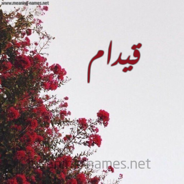 شكل 18 صوره الورد الأحمر للإسم بخط رقعة صورة اسم قيدام Qydam