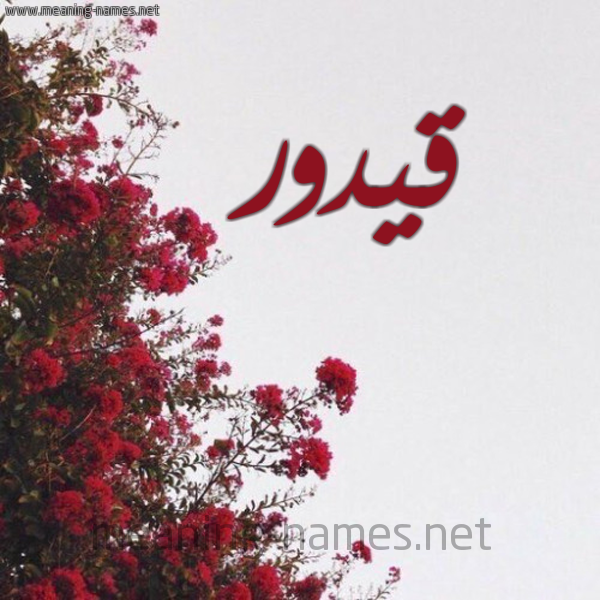 شكل 18 صوره الورد الأحمر للإسم بخط رقعة صورة اسم قيدور Qadour