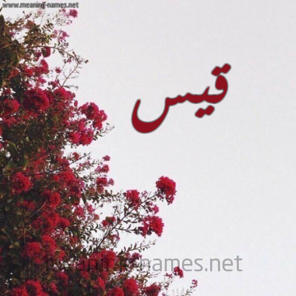 شكل 18 صوره الورد الأحمر للإسم بخط رقعة صورة اسم قيس Qays