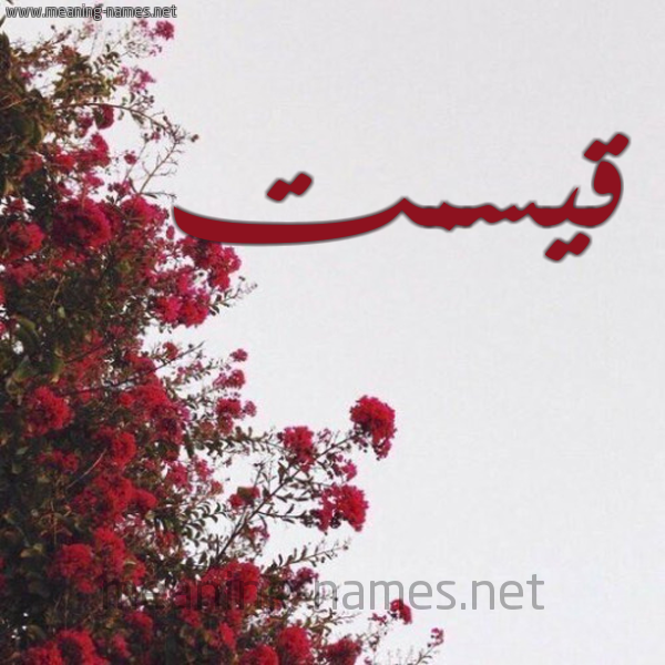 شكل 18 صوره الورد الأحمر للإسم بخط رقعة صورة اسم قيسمت Qismat