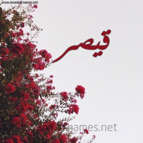 شكل 18 صوره الورد الأحمر للإسم بخط رقعة صورة اسم قيصر Qisr