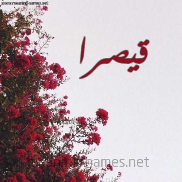 شكل 18 صوره الورد الأحمر للإسم بخط رقعة صورة اسم قيصرا kisara