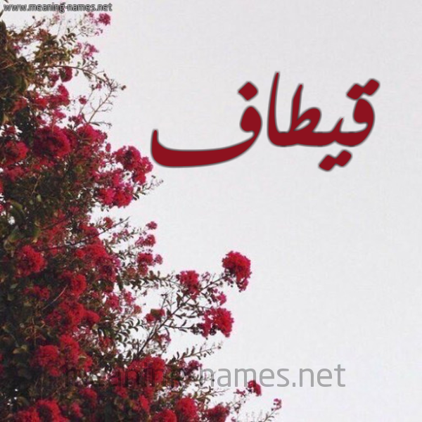 شكل 18 صوره الورد الأحمر للإسم بخط رقعة صورة اسم قيطاف Qetaf