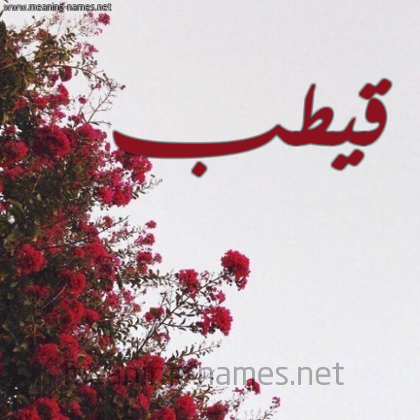 شكل 18 صوره الورد الأحمر للإسم بخط رقعة صورة اسم قيطب Qutob