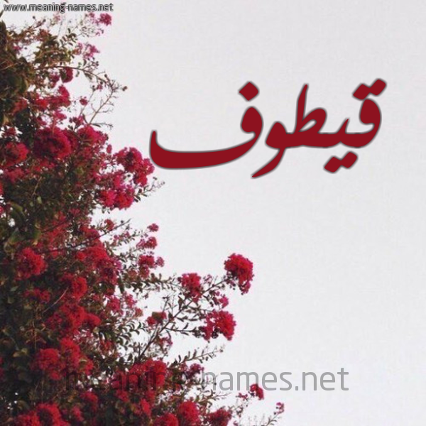 شكل 18 صوره الورد الأحمر للإسم بخط رقعة صورة اسم قيطوف Qotouf