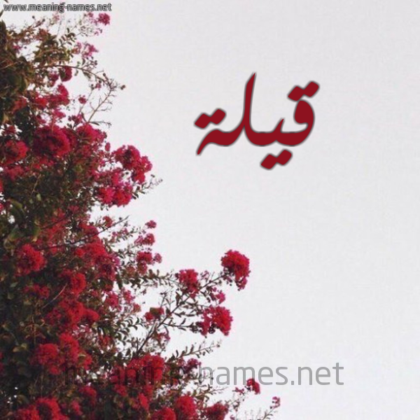 شكل 18 صوره الورد الأحمر للإسم بخط رقعة صورة اسم قيلة QAILH