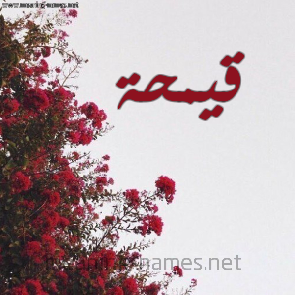 شكل 18 صوره الورد الأحمر للإسم بخط رقعة صورة اسم قيمحة Qamha