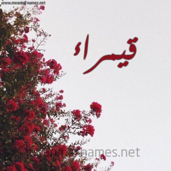 شكل 18 صوره الورد الأحمر للإسم بخط رقعة صورة اسم قيمراء Qamraa