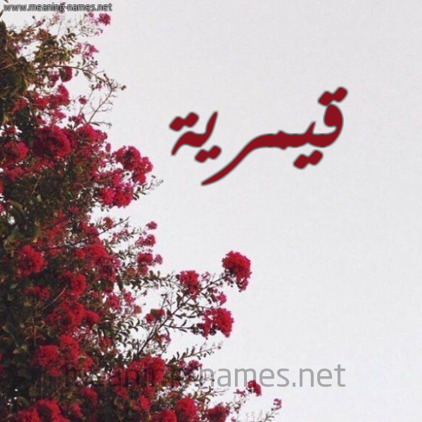 شكل 18 صوره الورد الأحمر للإسم بخط رقعة صورة اسم قيمرية Qamreyyah