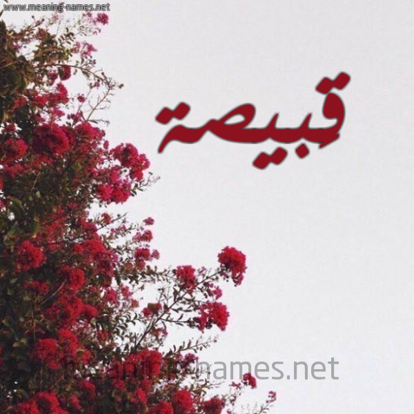 شكل 18 صوره الورد الأحمر للإسم بخط رقعة صورة اسم قَبيصة QABISH
