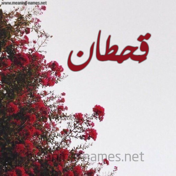 شكل 18 صوره الورد الأحمر للإسم بخط رقعة صورة اسم قَحْطان QAHTAN