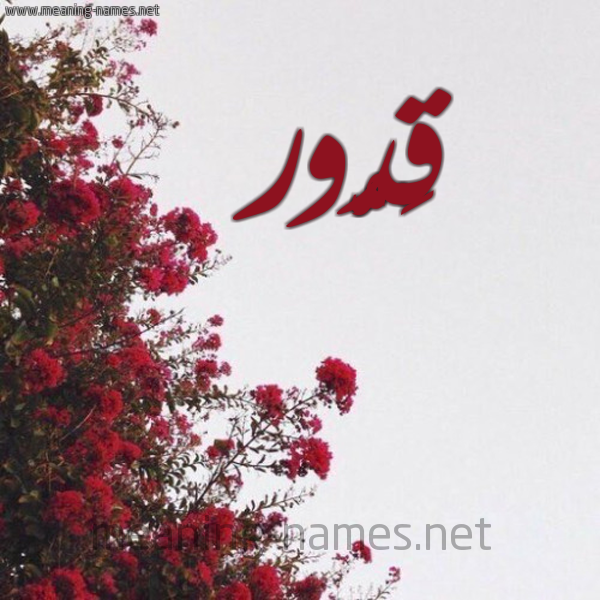شكل 18 صوره الورد الأحمر للإسم بخط رقعة صورة اسم قَدُّور QADOOR