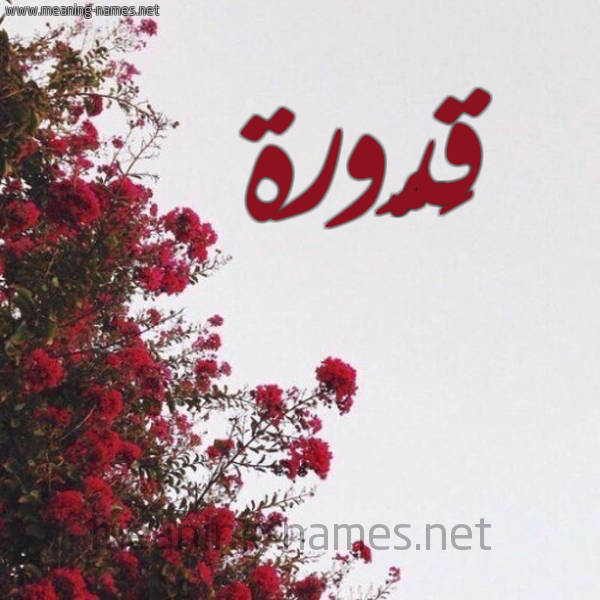 شكل 18 صوره الورد الأحمر للإسم بخط رقعة صورة اسم قَدُّورة QADOORH