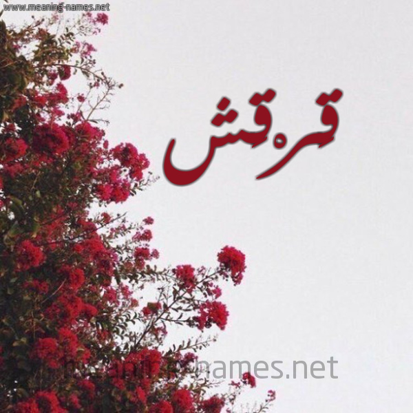 شكل 18 صوره الورد الأحمر للإسم بخط رقعة صورة اسم قَرْقَش QARQASH