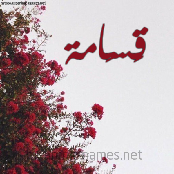 شكل 18 صوره الورد الأحمر للإسم بخط رقعة صورة اسم قَسَامة QASAAMH