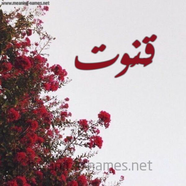 شكل 18 صوره الورد الأحمر للإسم بخط رقعة صورة اسم قَنُوت QANOOT