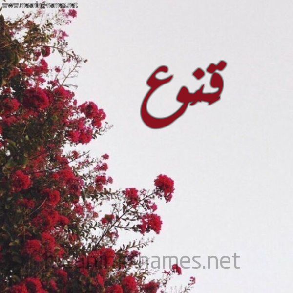 شكل 18 صوره الورد الأحمر للإسم بخط رقعة صورة اسم قَنُوع QANOOA