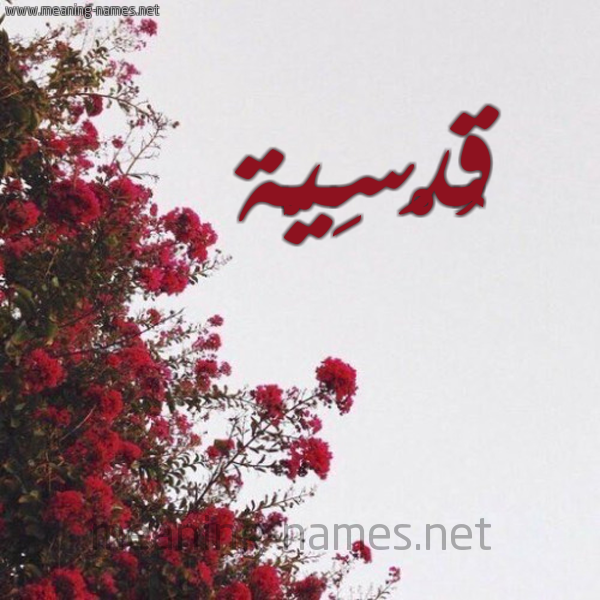 صورة اسم قُدْسِيَّة QODSEIAH شكل 18 صوره الورد الأحمر للإسم بخط رقعة صورة اسم قُدْسِيَّة QODSEIAH شكل 18 صوره الورد الأحمر للإسم بخط رقعة