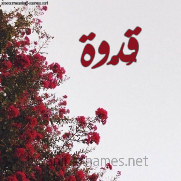شكل 18 صوره الورد الأحمر للإسم بخط رقعة صورة اسم قُدْوة QODOH
