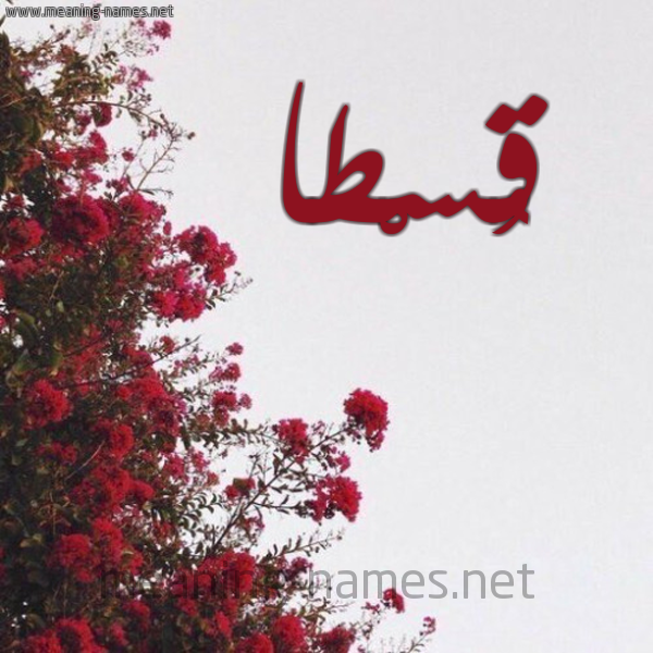 شكل 18 صوره الورد الأحمر للإسم بخط رقعة صورة اسم قُسْطا QOSTA