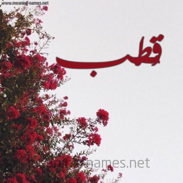 شكل 18 صوره الورد الأحمر للإسم بخط رقعة صورة اسم قُطْب QOTB