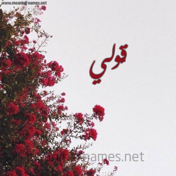 شكل 18 صوره الورد الأحمر للإسم بخط رقعة صورة اسم قُولي QOOLI