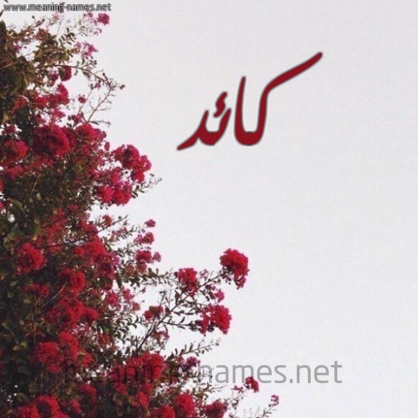 شكل 18 صوره الورد الأحمر للإسم بخط رقعة صورة اسم كائد KAED