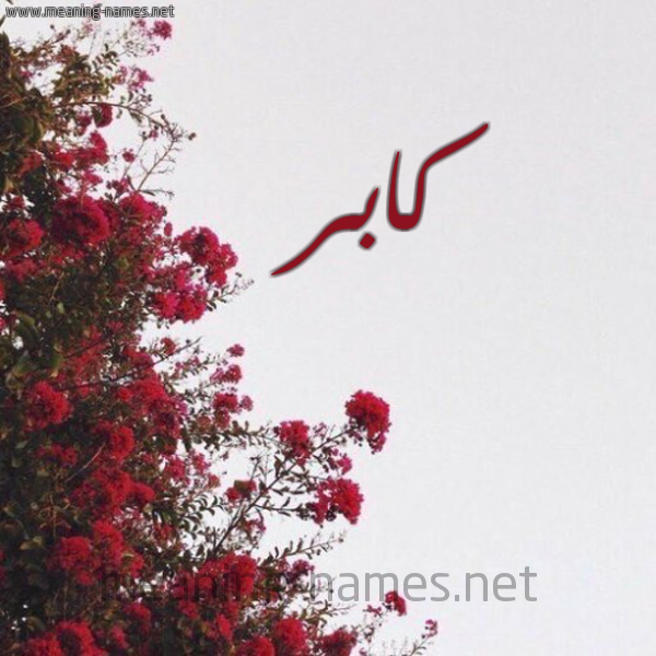 شكل 18 صوره الورد الأحمر للإسم بخط رقعة صورة اسم كابر Kabir