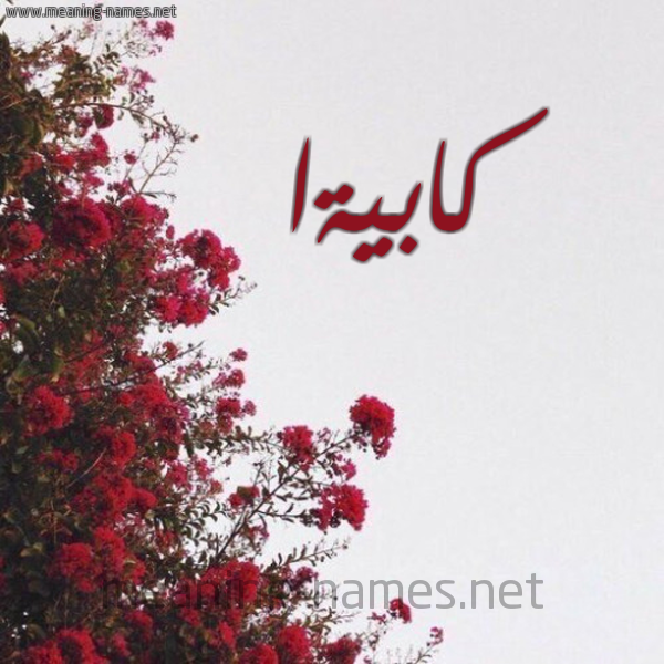 شكل 18 صوره الورد الأحمر للإسم بخط رقعة صورة اسم كابيةا Kabieyah