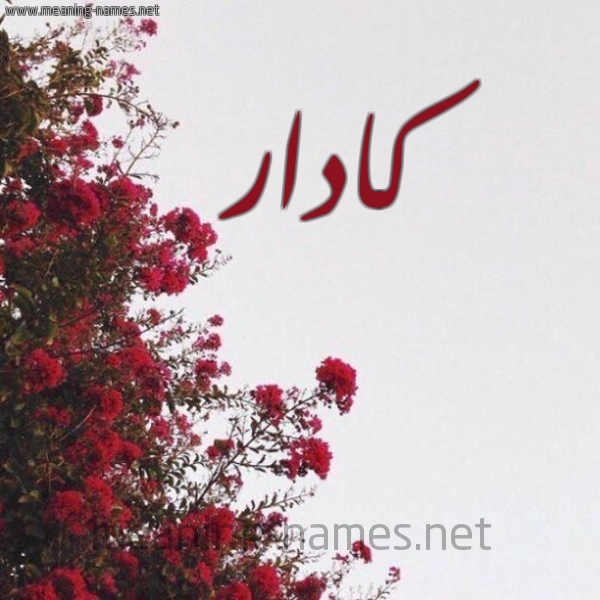 شكل 18 صوره الورد الأحمر للإسم بخط رقعة صورة اسم كادار kadar