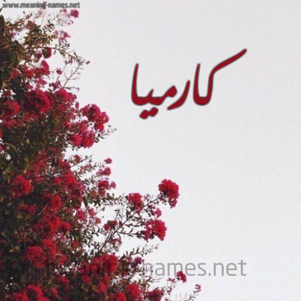 شكل 18 صوره الورد الأحمر للإسم بخط رقعة صورة اسم كارميا Karma