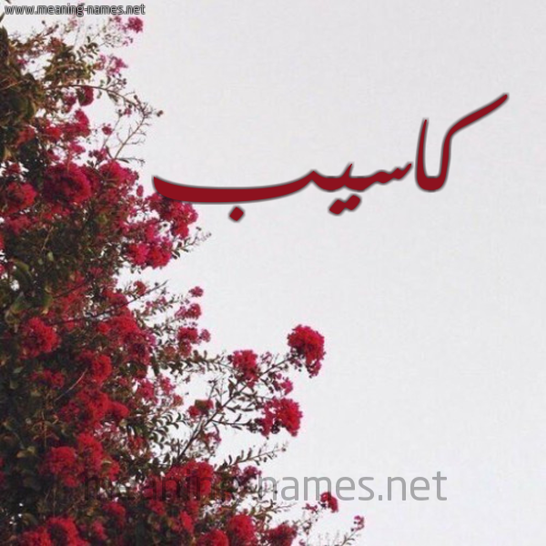 شكل 18 صوره الورد الأحمر للإسم بخط رقعة صورة اسم كاسيب KAseb
