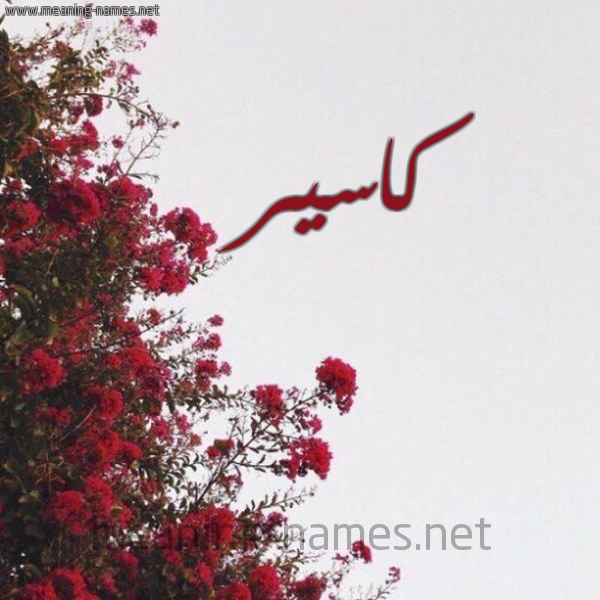 شكل 18 صوره الورد الأحمر للإسم بخط رقعة صورة اسم كاسير Kasser