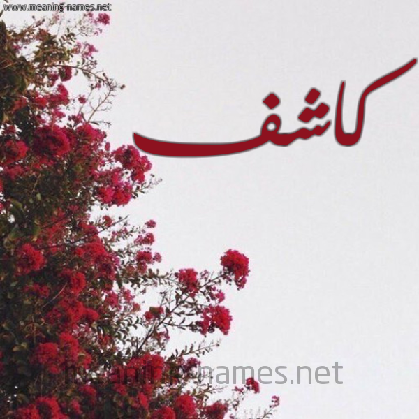 شكل 18 صوره الورد الأحمر للإسم بخط رقعة صورة اسم كاشف Kashf