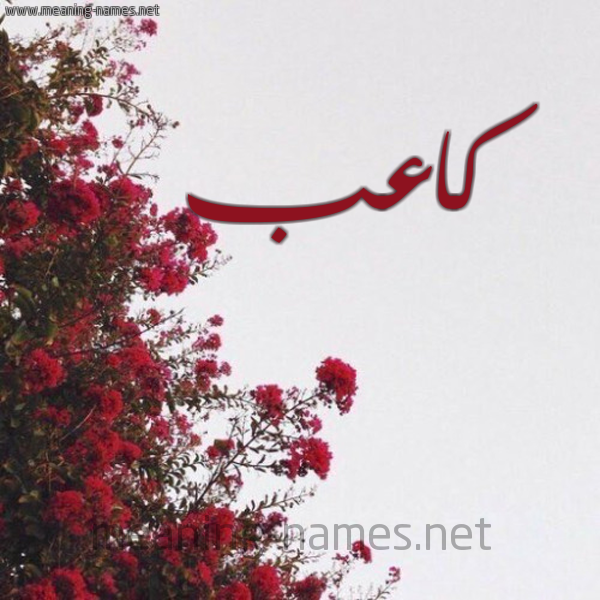 شكل 18 صوره الورد الأحمر للإسم بخط رقعة صورة اسم كاعب Ka'b