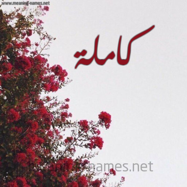 شكل 18 صوره الورد الأحمر للإسم بخط رقعة صورة اسم كاملة Kamla