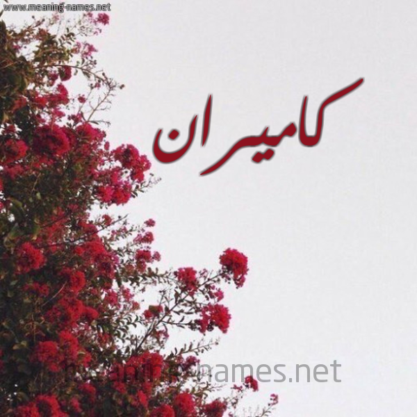 شكل 18 صوره الورد الأحمر للإسم بخط رقعة صورة اسم كاميران Kamiran